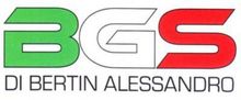 BGS - Logo