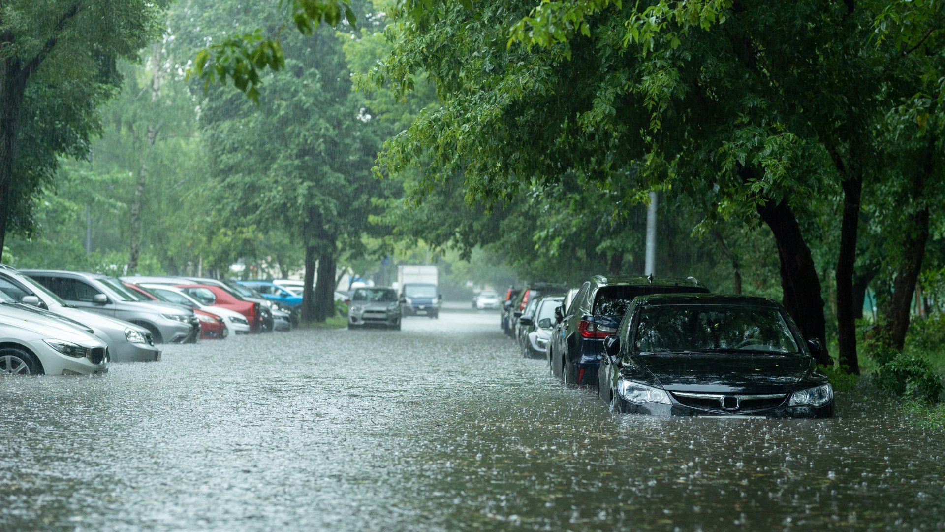 flooded cars