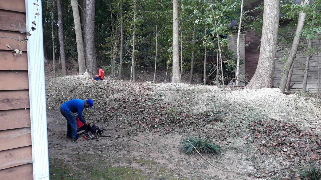 Person operating chainsaw near a large pile of leaves in a wooded area. Another person is in the background.