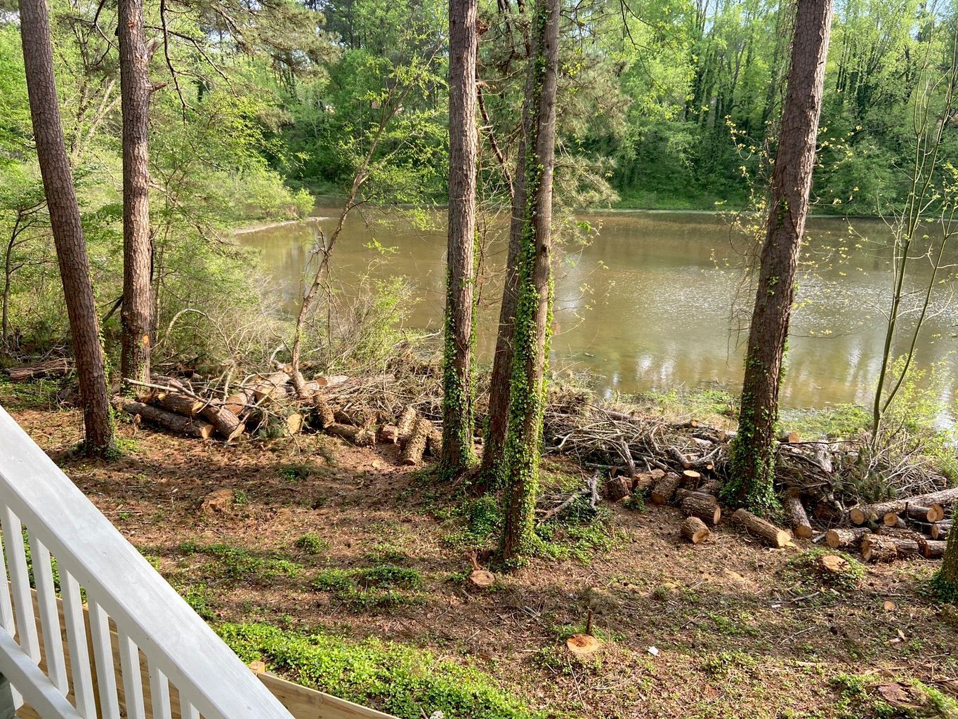 Logs stacked near a pond, trees in the foreground, with white railing.