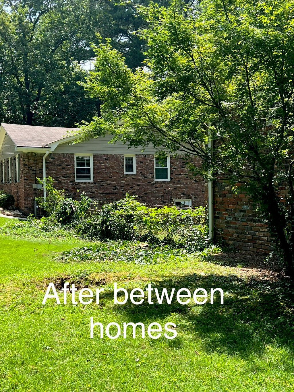 A brick house with trimmed greenery and a green lawn. 