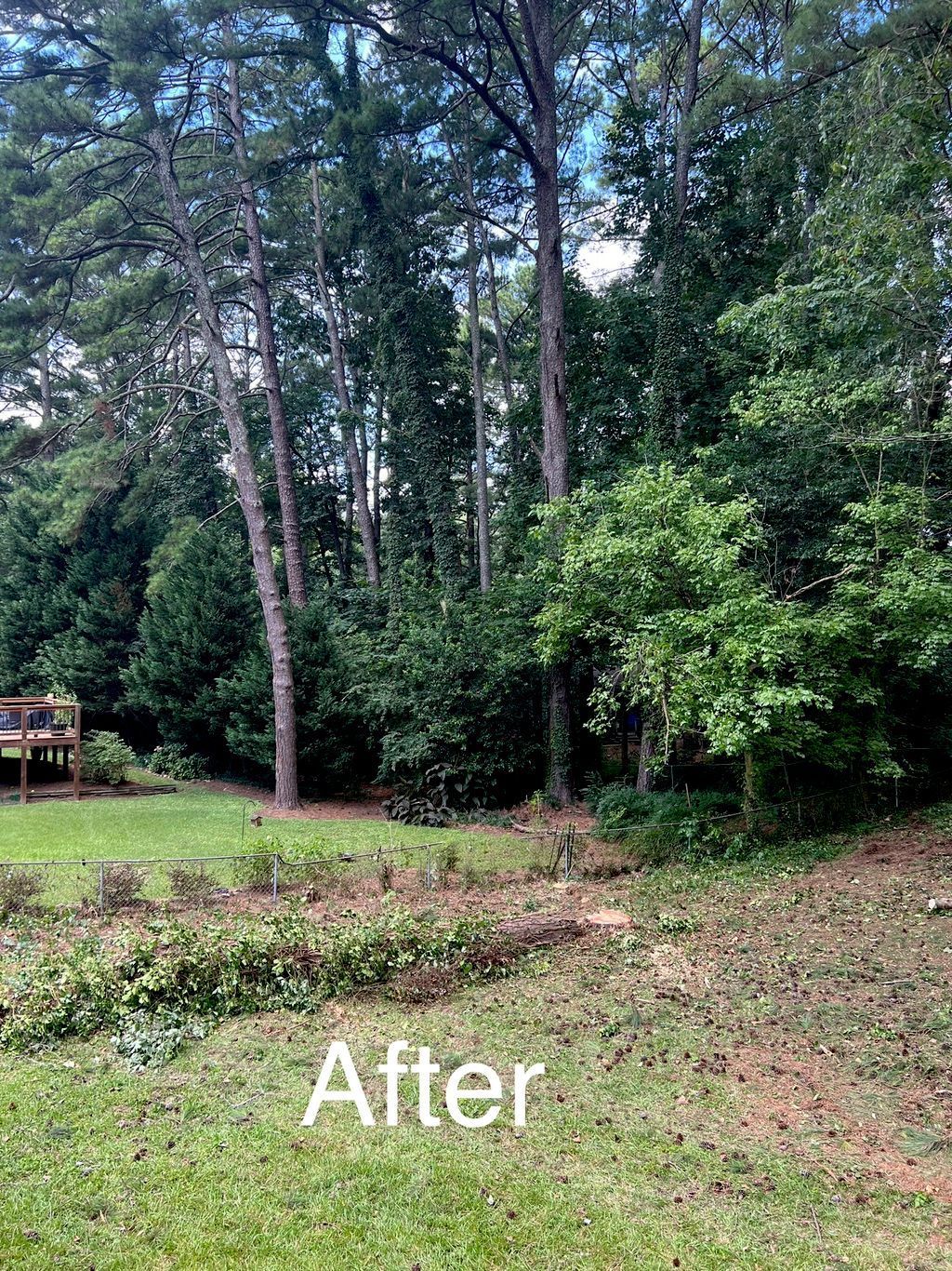 A backyard with cleared brush; trees in the background. 