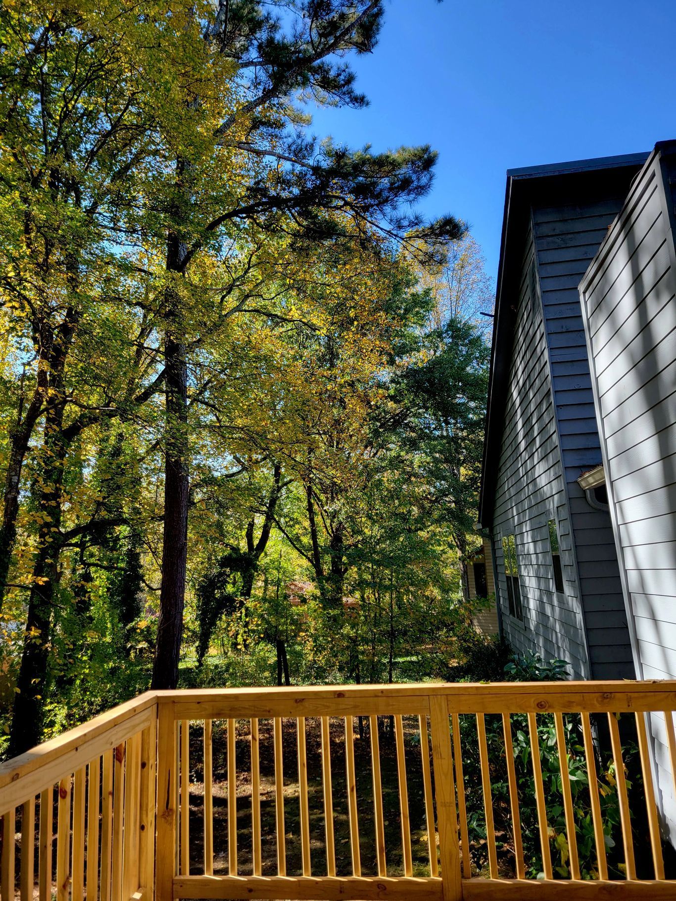 Wooden deck with railing, trees with fall foliage, and a gray house against a blue sky.