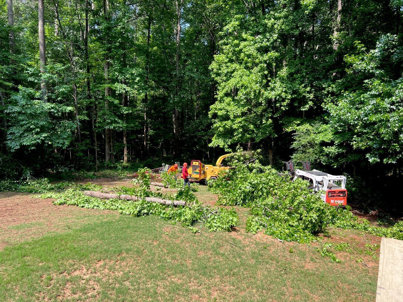 Tree removal equipment in yard; downed branches, yellow chipper, wooded background.