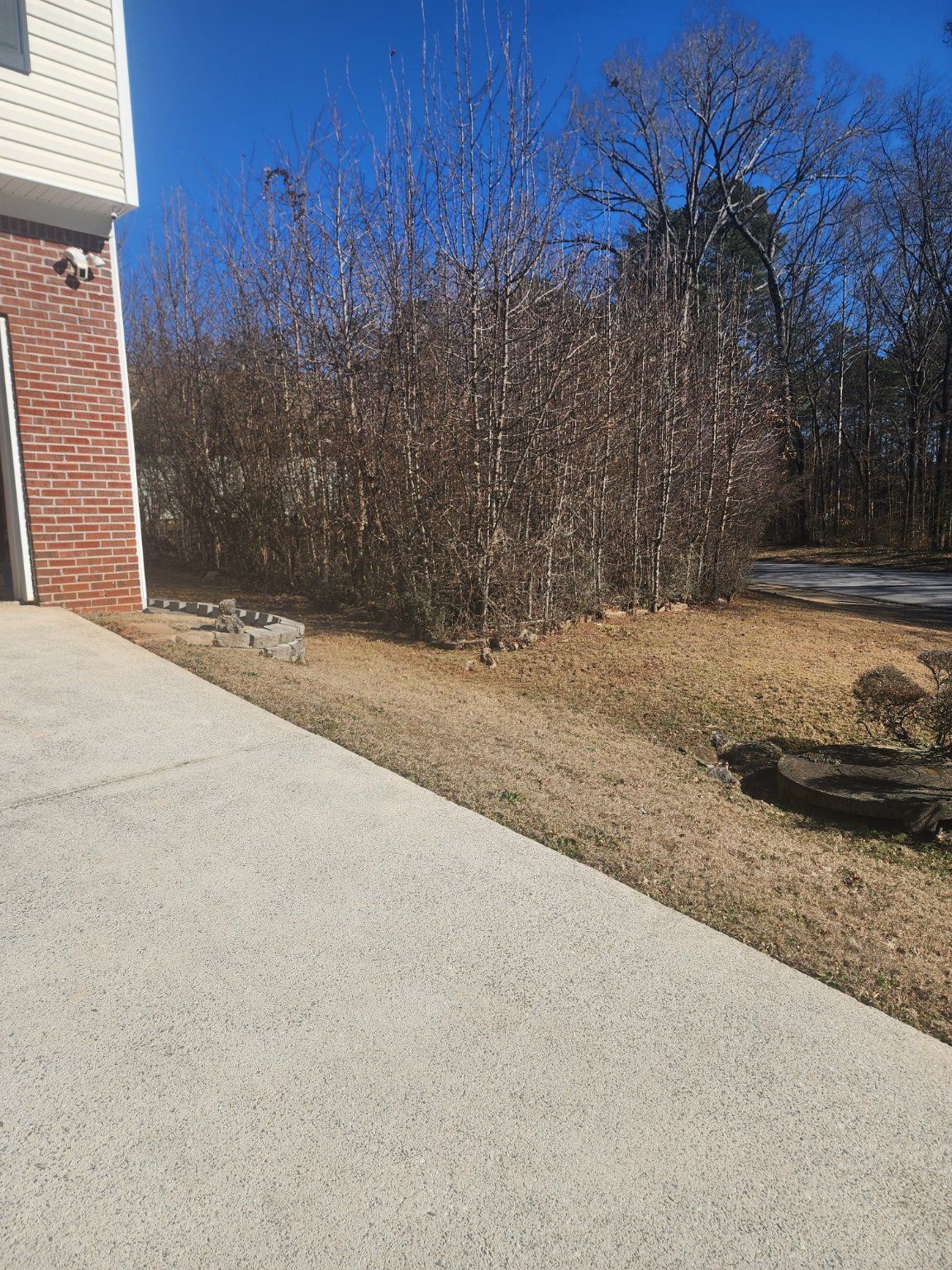 Driveway and patch of brown grass next to a house with a brick facade and tall, bare trees in the background.