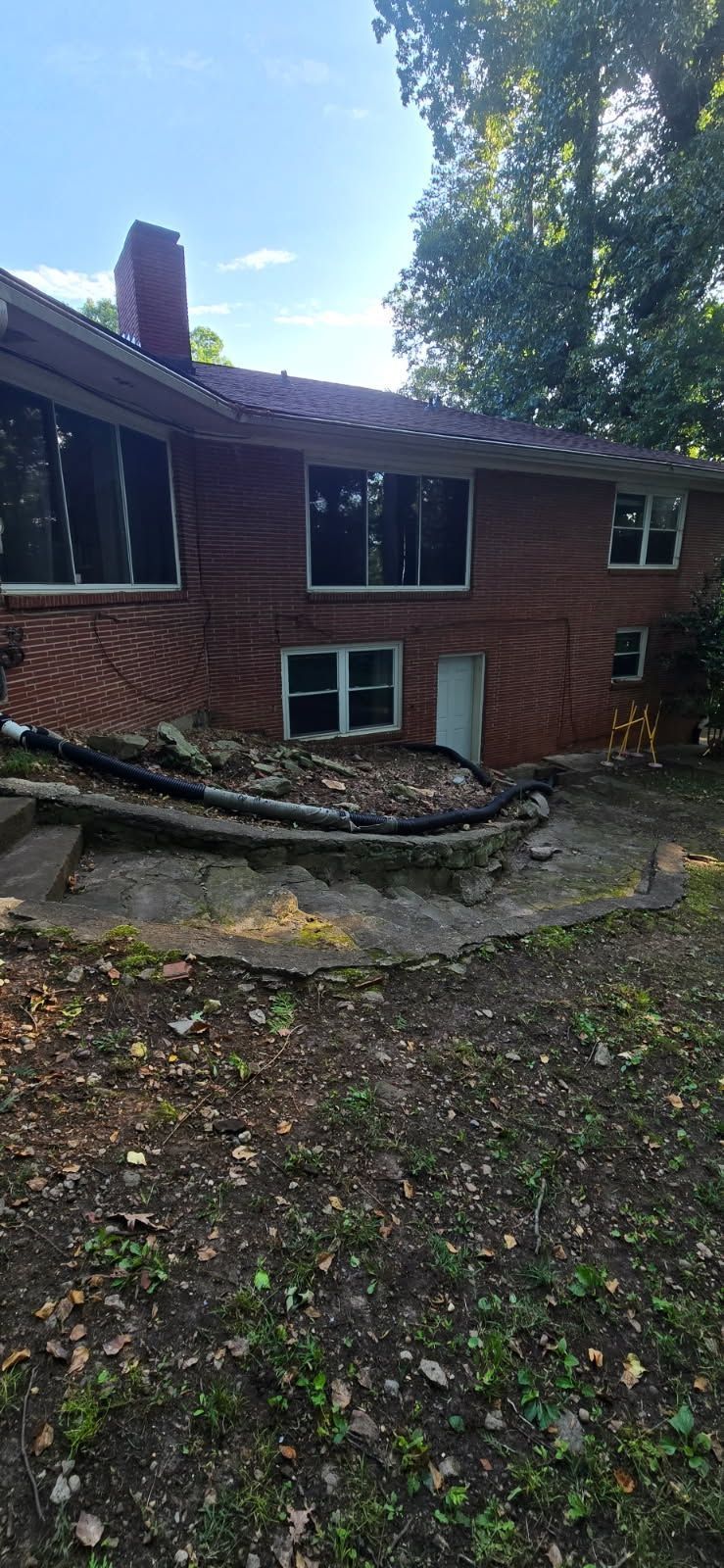 Red brick house with windows, steps and overgrown yard.