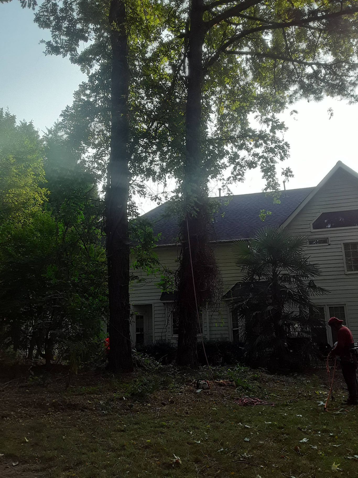 Trees partially obscure a two-story house with patterned roof tiles. A person in red stands near the right.
