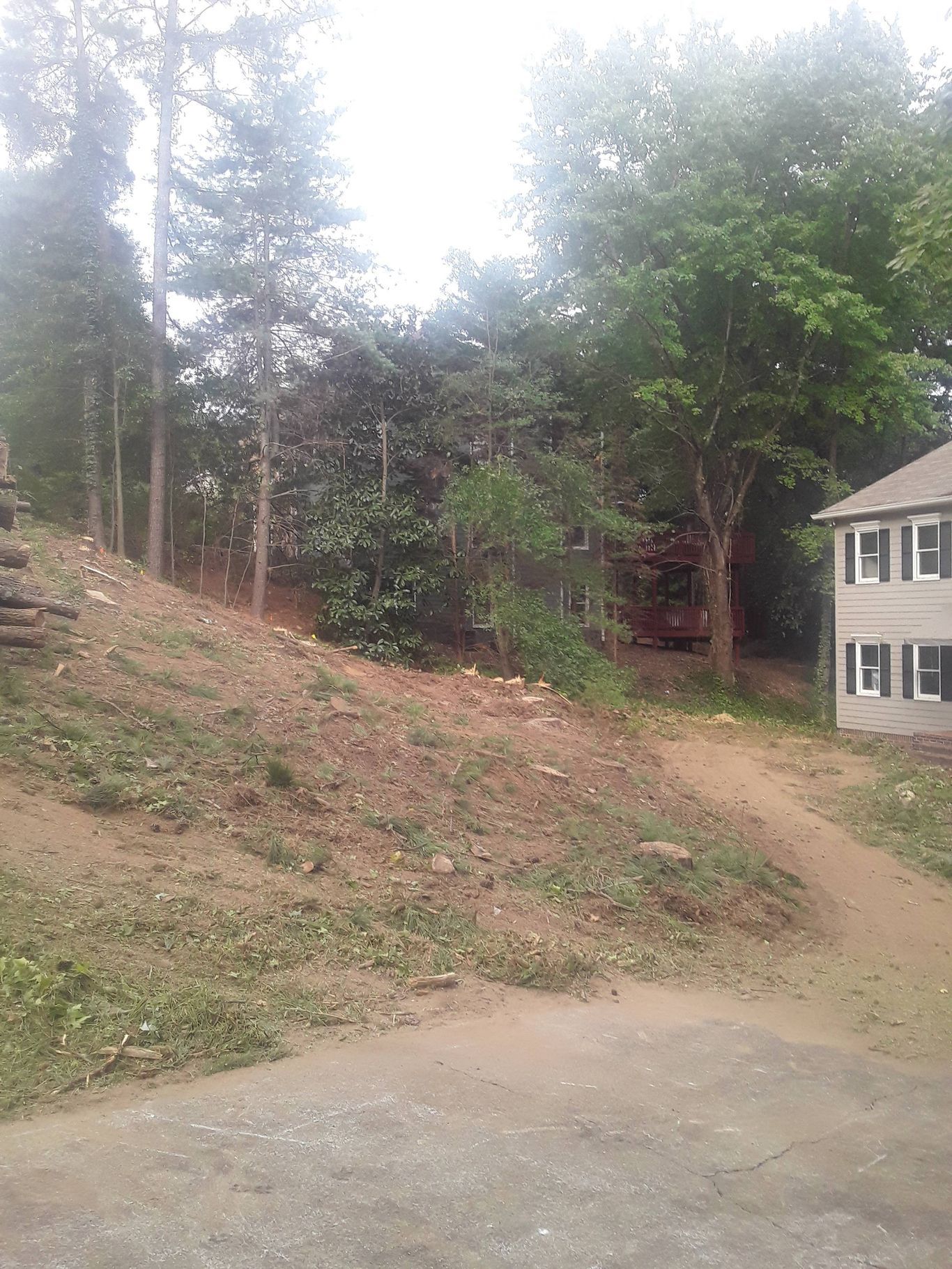 Dirt hillside next to a house and trees. Grey and green, overcast day.