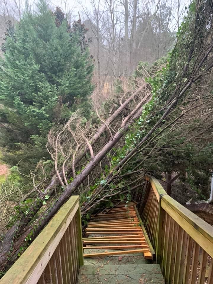 Fallen tree across outdoor wooden stairs, blocking the way; overcast sky, forest background.