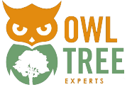 Orange owl logo with a green tree inside a green circle and the words "OWL TREE EXPERTS".