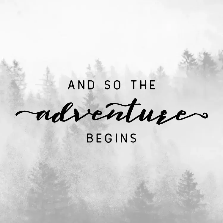 A black and white photo of a forest with the words `` and so the adventure begins ''