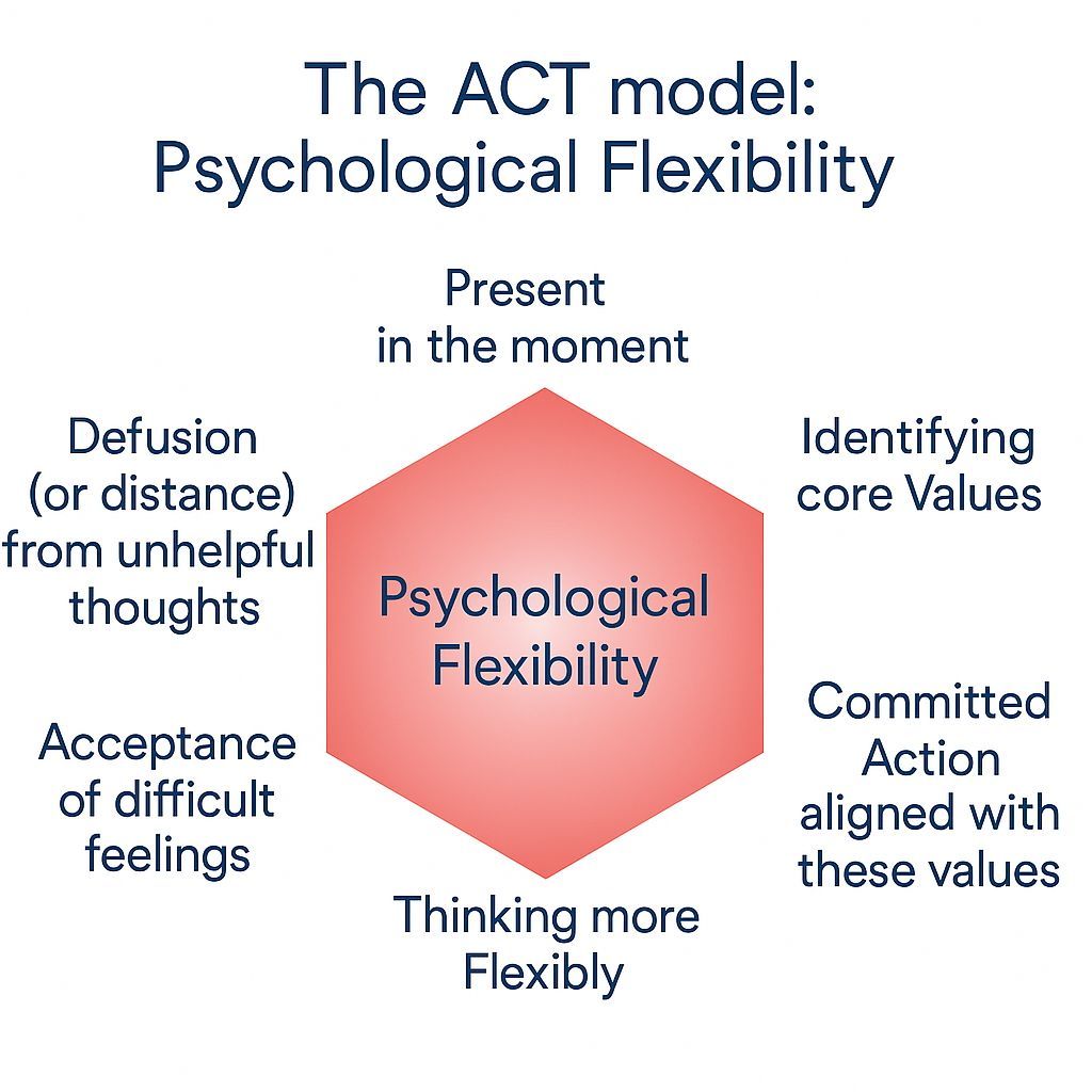 The ACT model of psychological flexibility with six interconnected components around a central hexagon.