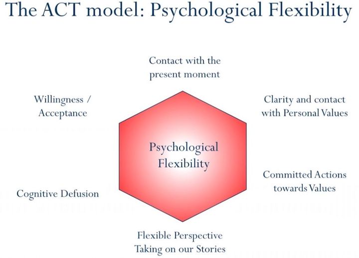 The ACT hexaflex model: the 6 core processes mapped out