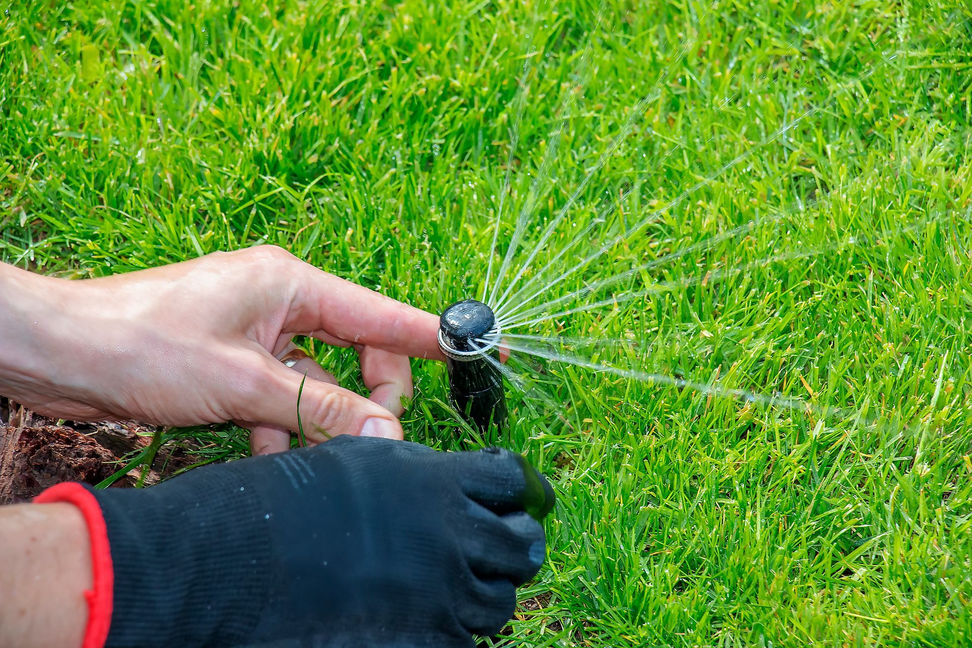 A gloved gardener fixes the sprinkler, keeping the lawn healthy and vibrant. A gloved gardener fixes the sprinkler, keeping the lawn healthy and vibrant.