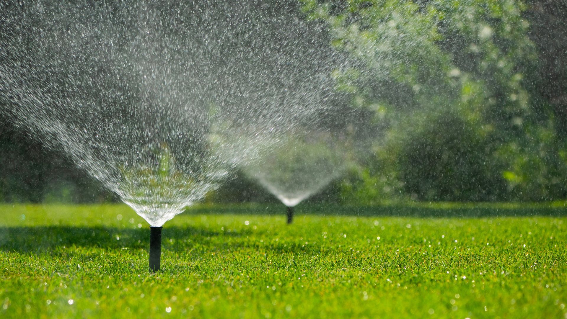 Lawn sprinklers spraying overlapping streams of water across a bright green yard.