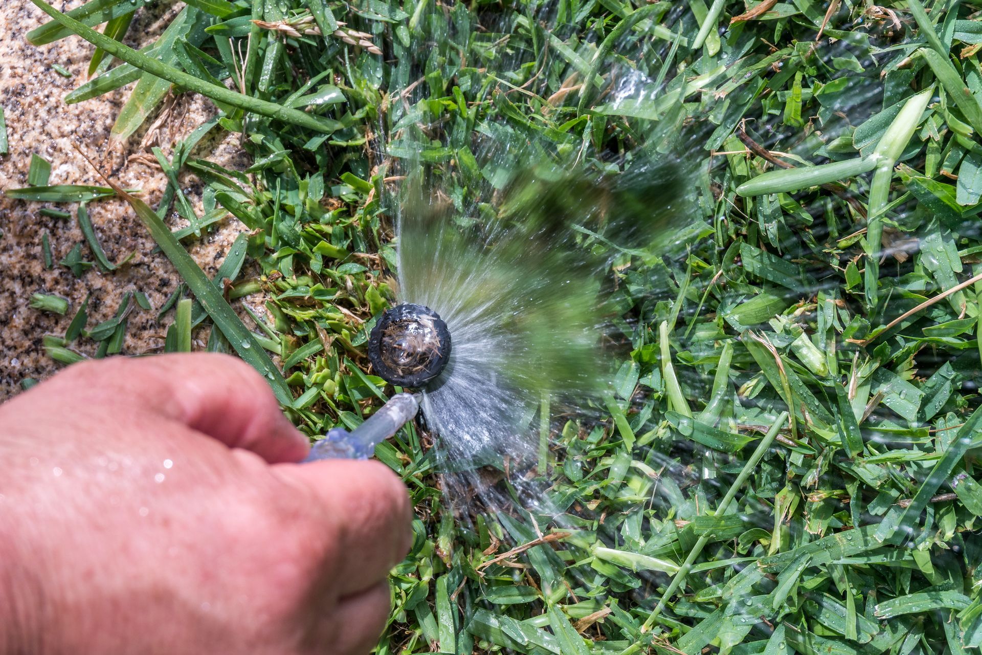 Close-up of man fixing a sprinkler irrigating a lawn, showcasing expert irrigation repair.