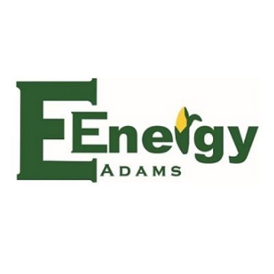 e-ENERGY logo
