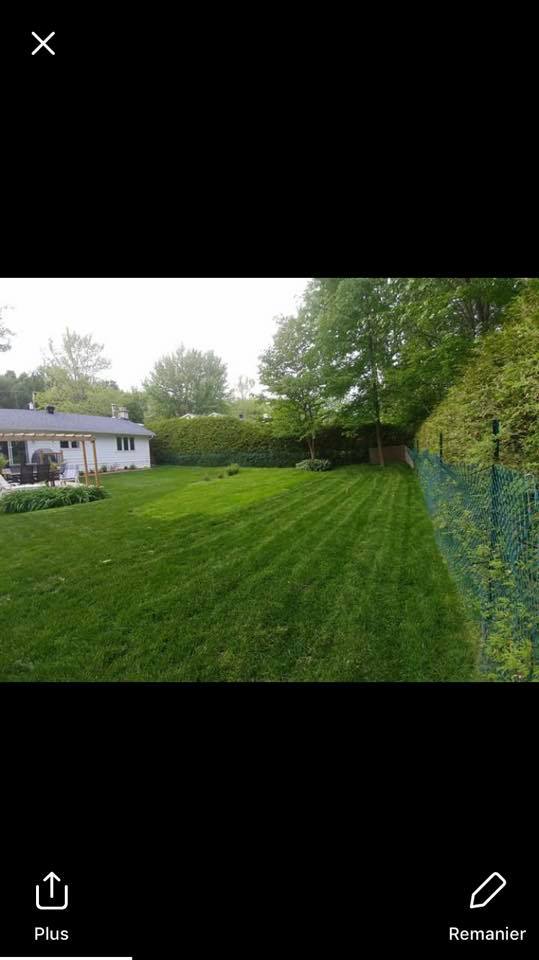 Une photo d’une cour verdoyante avec une maison en arrière-plan.