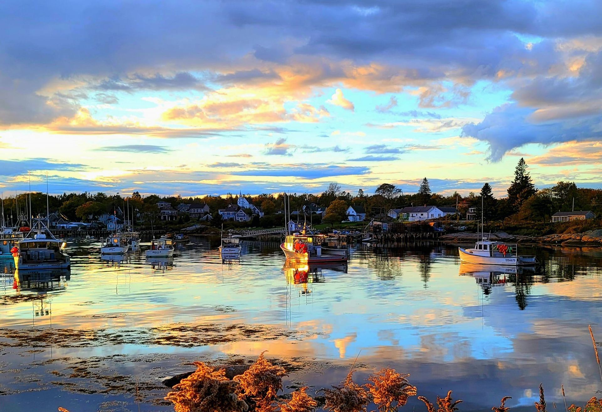 harbor