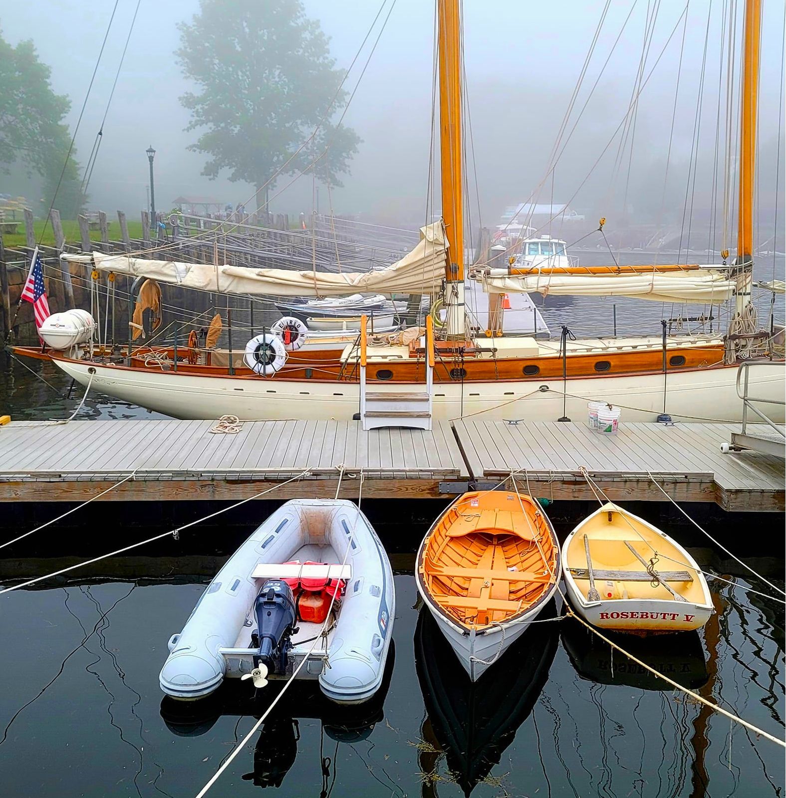 boats
