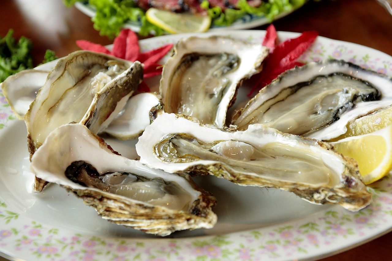 oysters