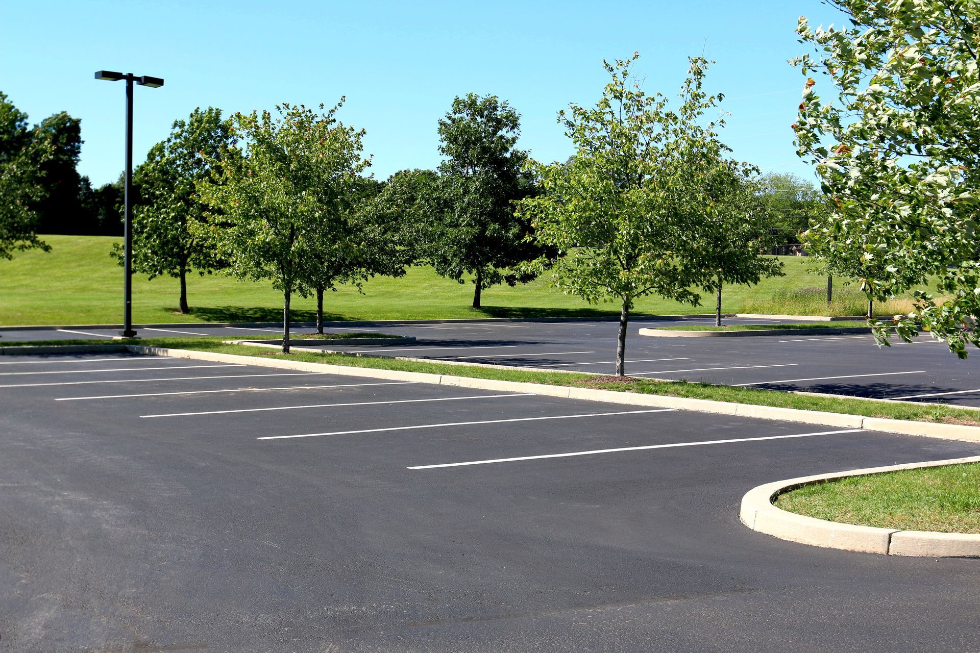 Empty asphalt parking lot with painted lines, trees, grass, and a blue sky.