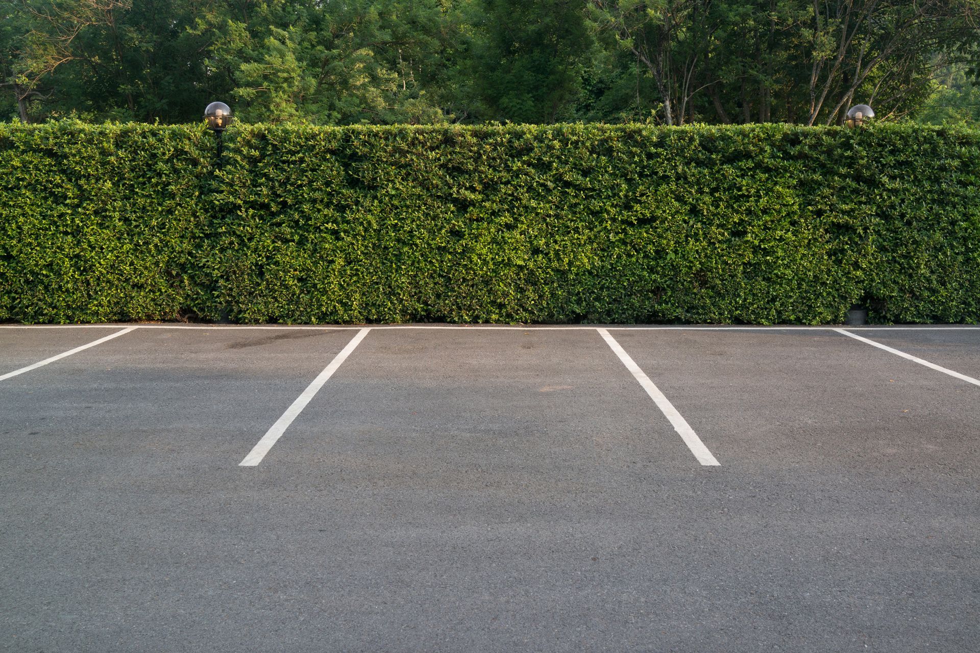 Three empty parking spots in an asphalt lot, bordered by a tall green hedge.