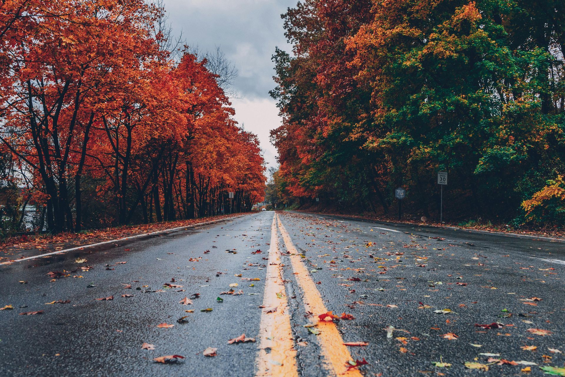 A freshly sealcoated road with leaves on it.