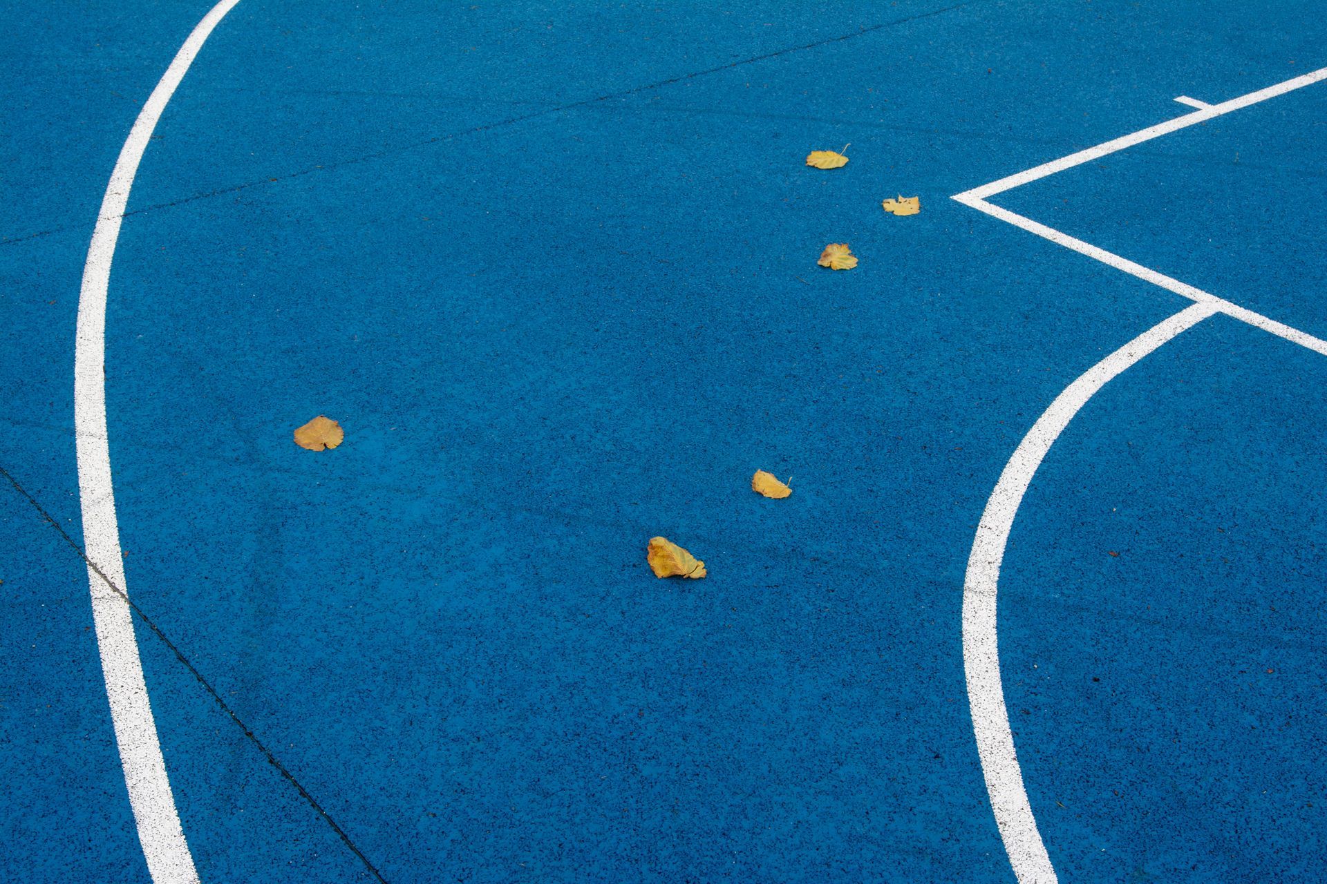 A freshly paved surface with leaves.