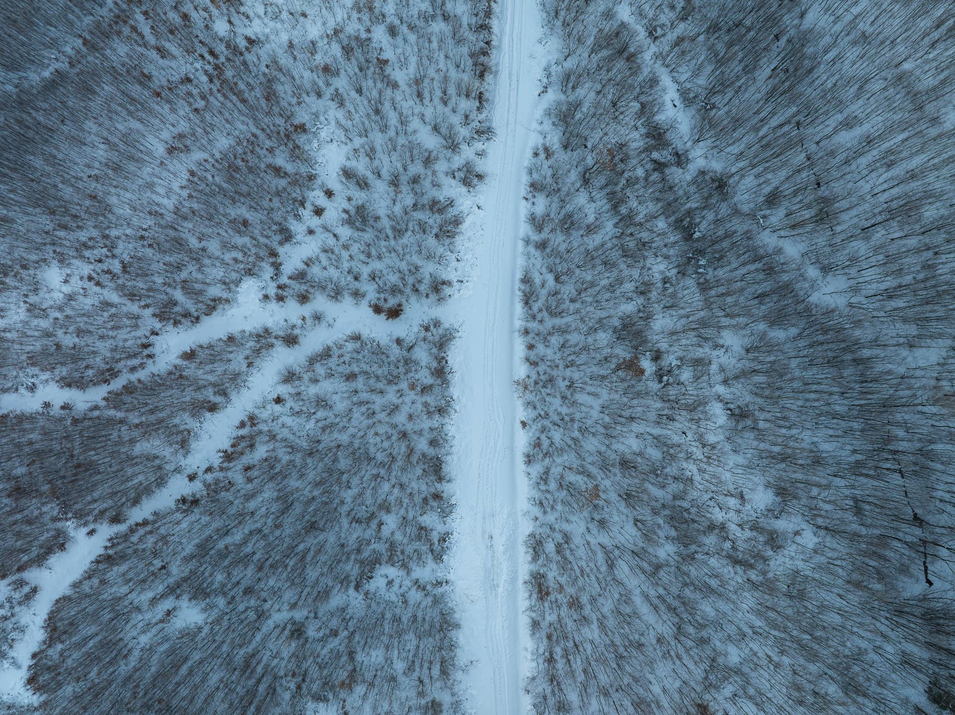 An aerial view of a snowy road going through a snowy forest.