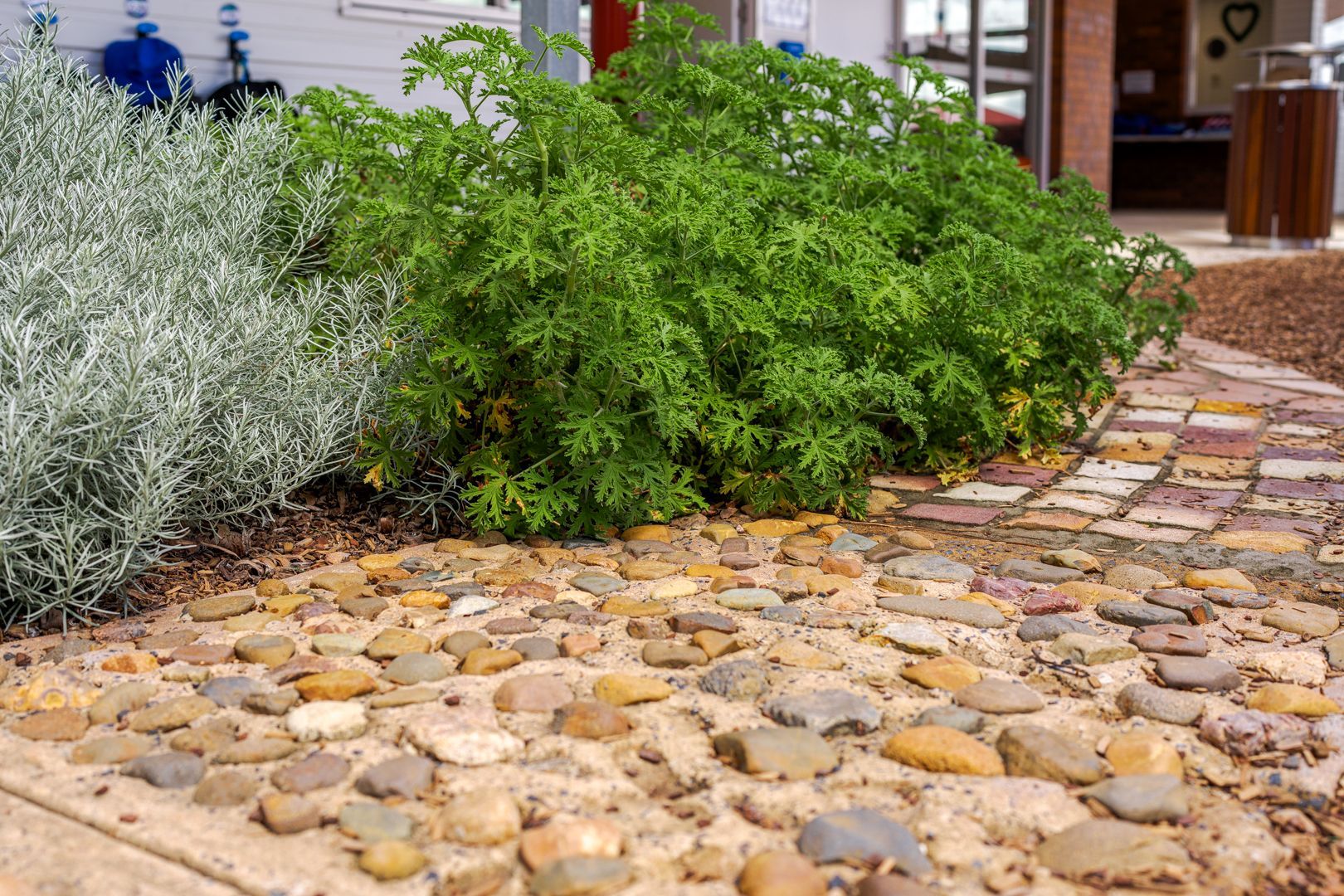 Landscaping - Dow Landscaping