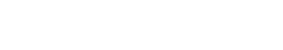 Berardi Auto & Daniel - Concessionaria e Assistenza Hyundai e Kia logo