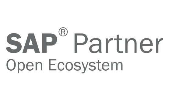 Logo Rodapé SAP Partner