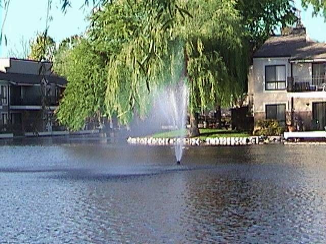 lake with fountain in middle