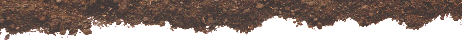 Fondo marrón texturizado con un borde inferior irregular sobre un fondo blanco.