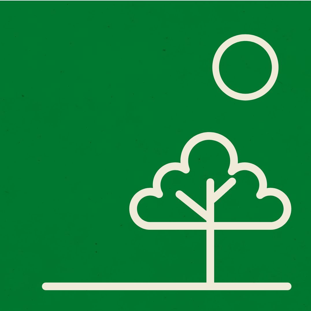 Contorno blanco de un árbol y un sol sobre un fondo verde.