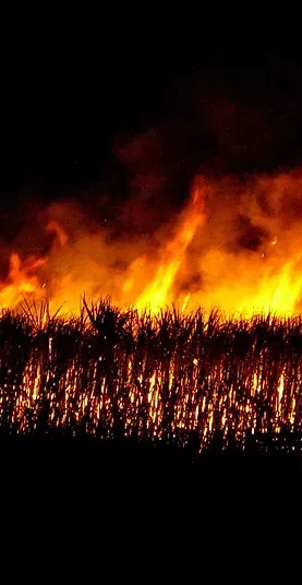 Wildfire — Bundaberg QLD — Lukerative Accountants