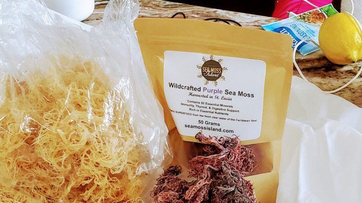 purple sea moss