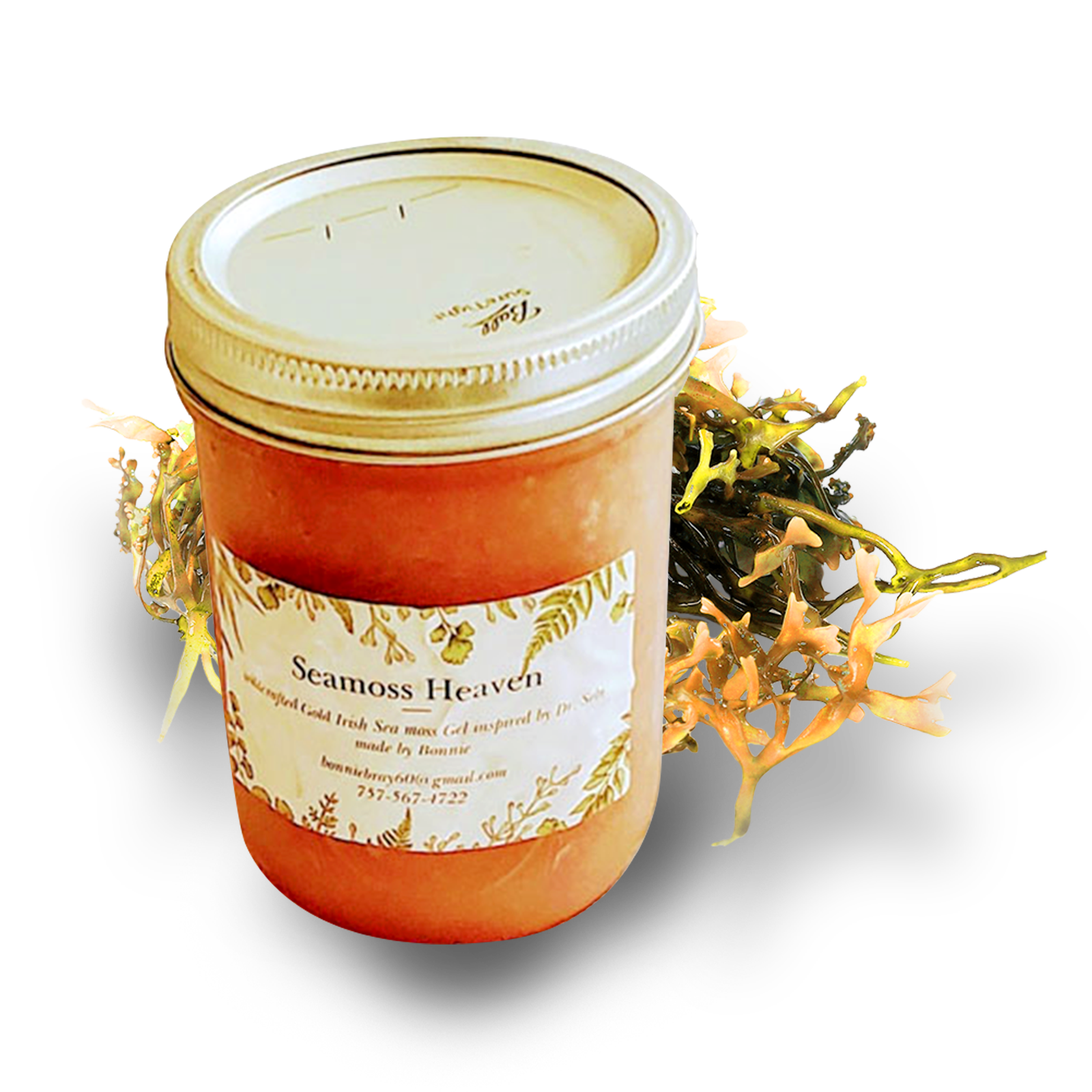 fruit infused sea moss