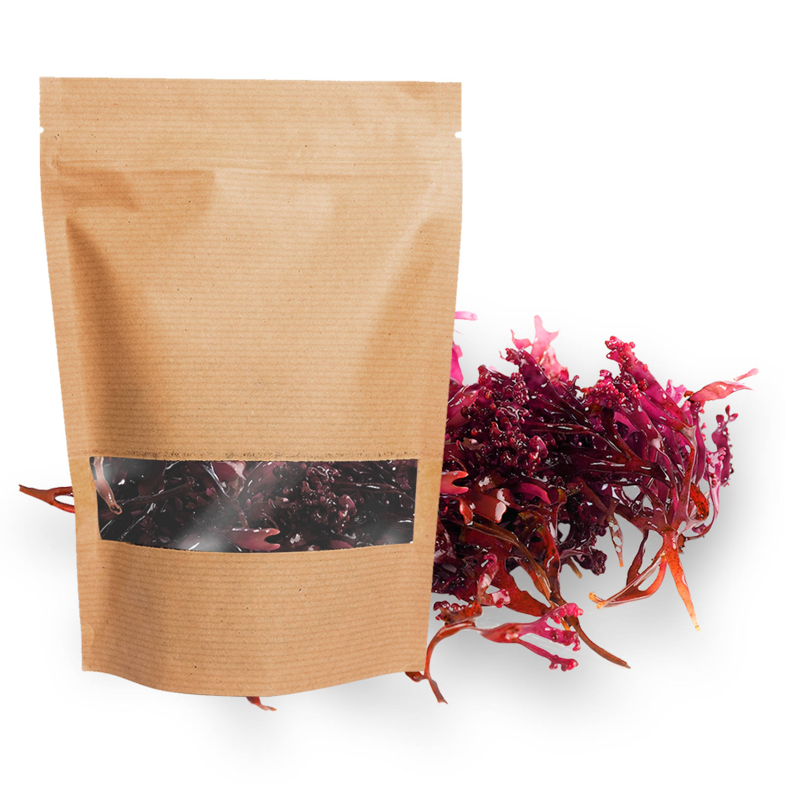 purple sea moss