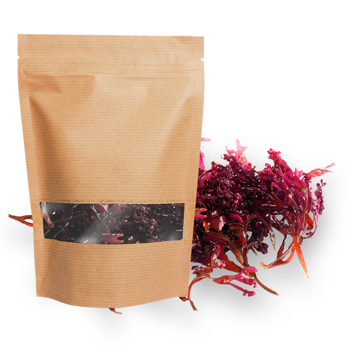 purple sea moss