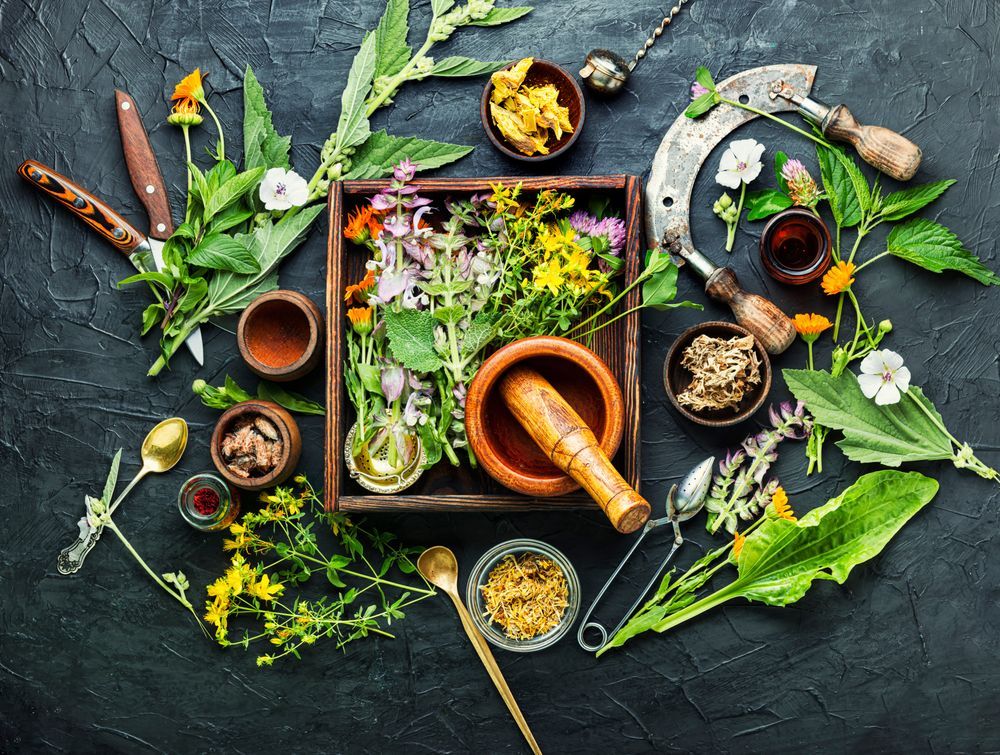 Assortment of herbs and ingredients for natural medicine, including mortar, pestle, and wooden box, on dark surface.