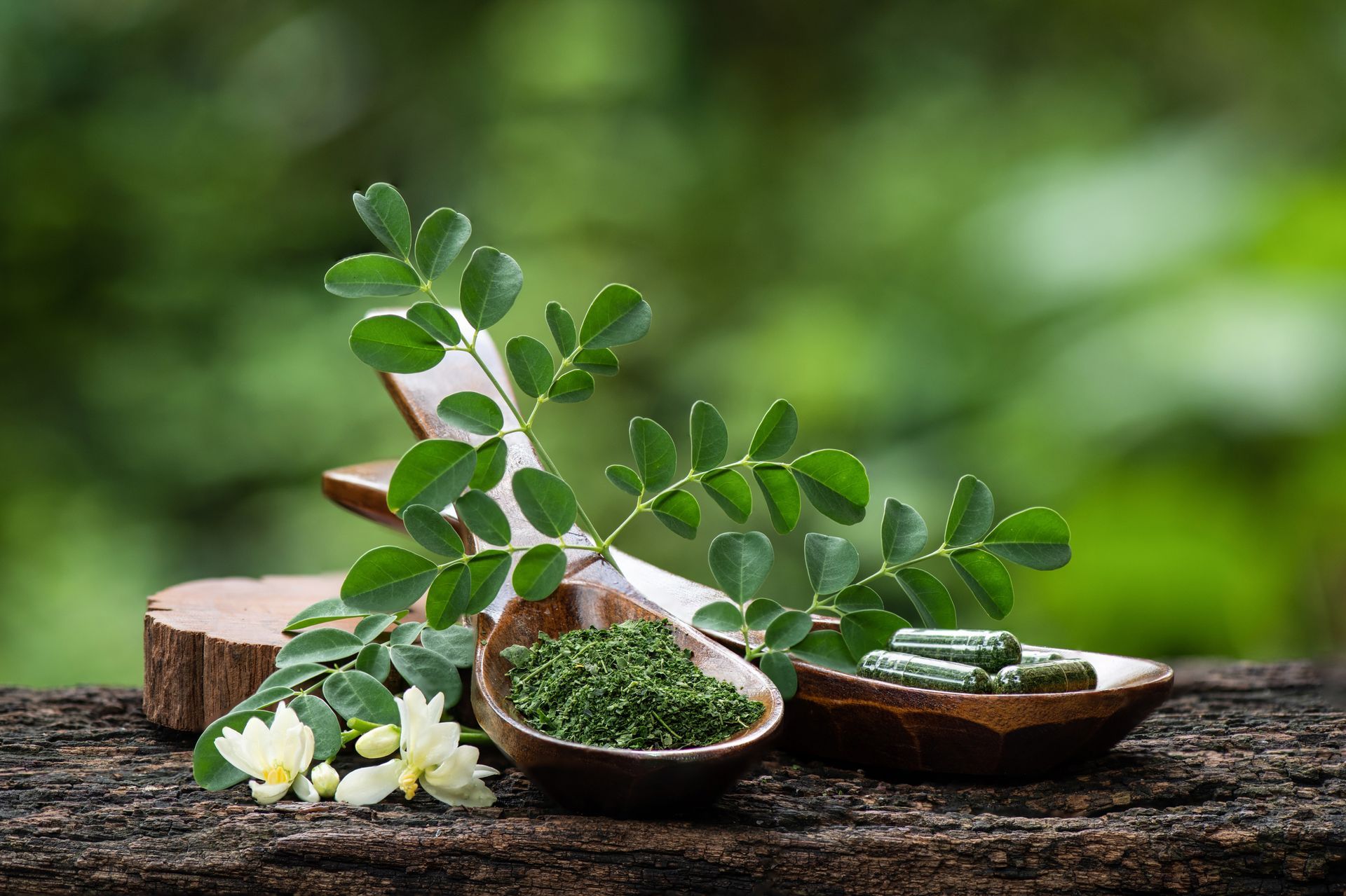 Moringa plant with leaves, powder, and capsules in wooden bowls against a blurred green backdrop.
