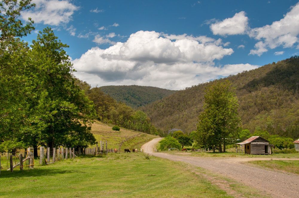 A Dirt Road Going Through A Grassy Field With Mountains — Gaeta's Upholstery Blinds & Awnings in Glen Innes, NSW