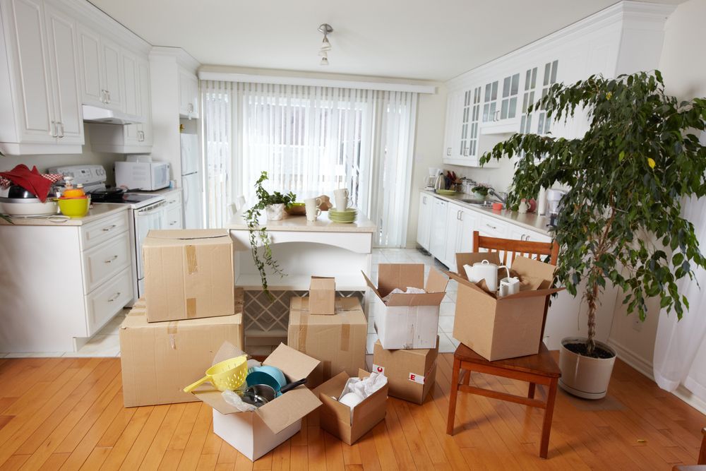 Boxes and items in a bright kitchen, ready for moving day — Cairns Mini Movers In Mount Sheridan, QLD