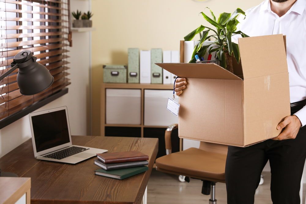 Person in an Office Holds a Cardboard Box — Cairns Mini Movers In Mount Sheridan, QLD