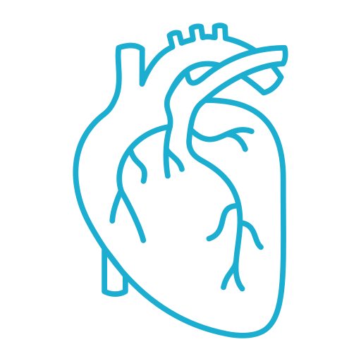 Un disegno in bianco e nero di un cuore umano su uno sfondo bianco.