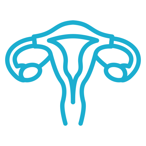 Un disegno in bianco e nero dell'apparato riproduttivo femminile.