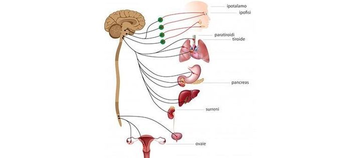 Una sagoma di un uomo con la parola roi in basso