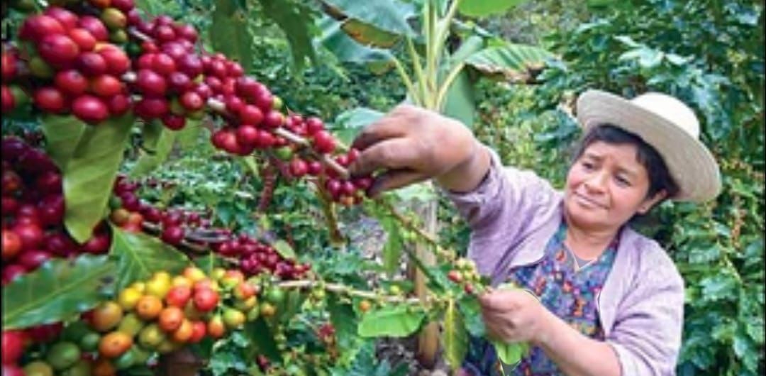 Tours y paquetes turísticos en Guatemala